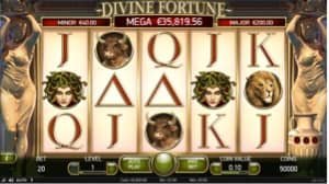 divinefortune